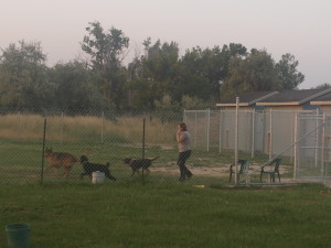 Grass run